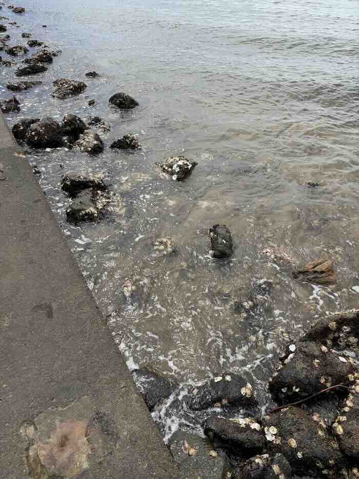 豊浦海浜公園の防波堤